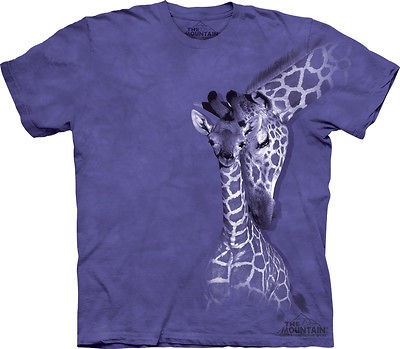 THE MOUNTAIN GIRAFFE FAMILY CALF AFRICAN ANIMALS GIRAFFES ADULT T 