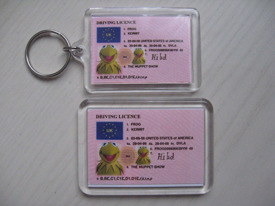 KERMIT THE FROG MUPPET KEYRING or FRIDGE MAGNET = ideal gift idea