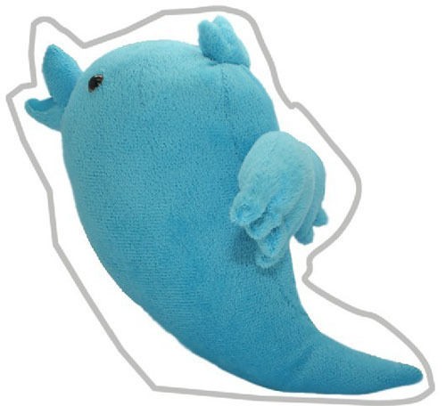 USA Twitter LOVELY PLUSH dolphin 9 FM Twitter popular Social 