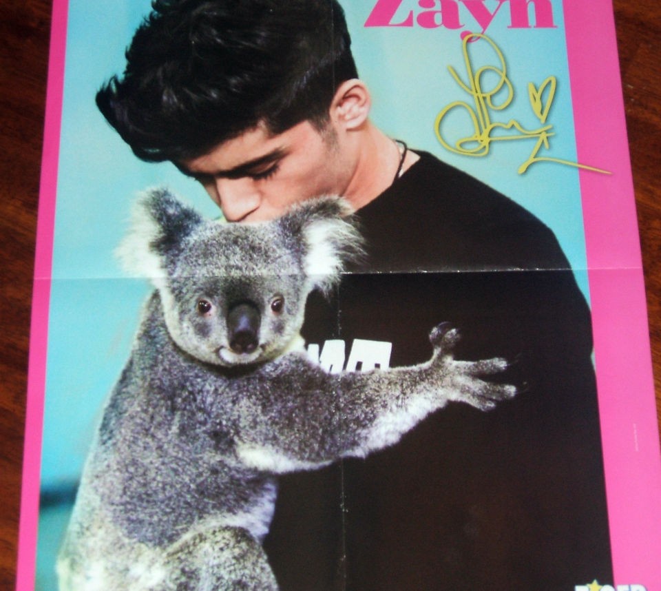   Directions Zayn Malik Kissing Koala Bear 16x20 Poster bw Harry Styles
