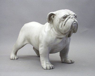 bulldog realistic statue sculpture life size  179