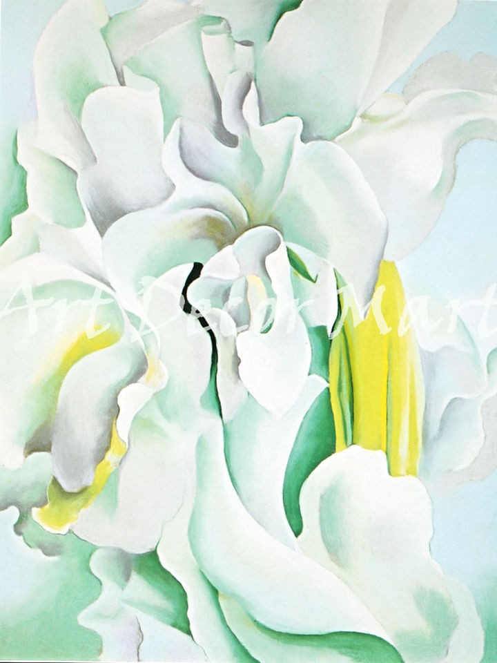 white sweet peas o keeffe canvas or print wall art