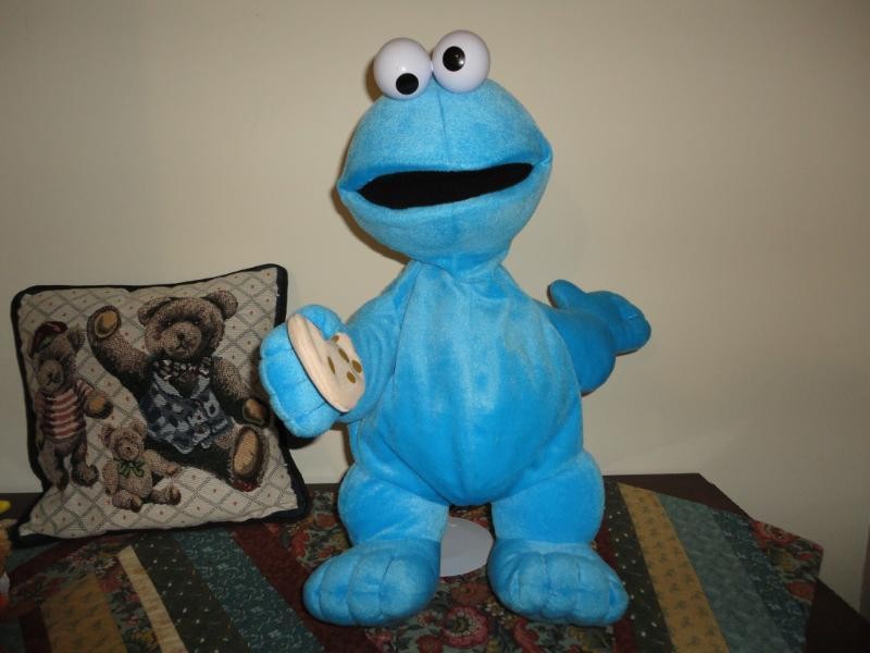 cookie monster backpack in Clothing, 