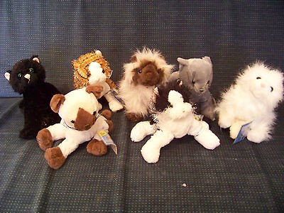 NWT Webkinz Cat Lot of 7 Unused codes Himalayan Siamese Persian 