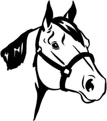 quarter horse head vinyl decal car truck window sticker time