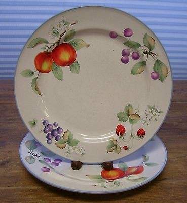 savoir vivre luscious 2 dinner plates fruit blue rim jj017