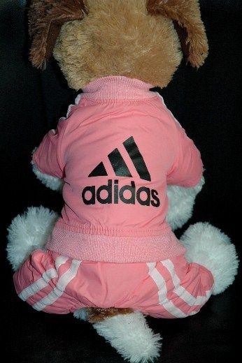 adidas pink dog track suit super cute more options size