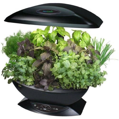 AeroGarden 2101 00B Classic Garden 7 Pod With Gourmet Herb Seed Kit 