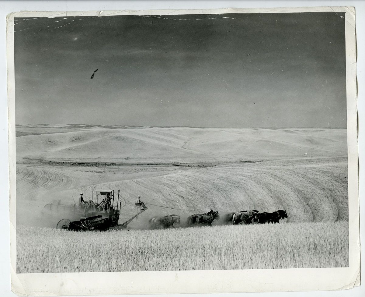 Arthur Rothstein VINTAGE 1936 STAMPED FSA Whitman County, WA RARE 