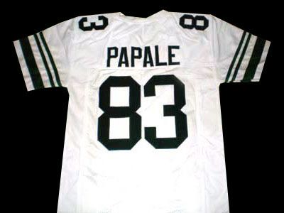 Vince Papale Invincible Movie Jersey White New Any Size Ayn