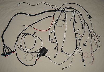 1997 2006 LS1 LS6 Vortec 4.8 5.3 6.0 V8 wiring harness only