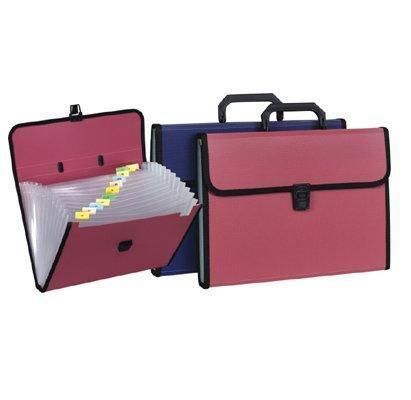   Expanding File Filing Folder Pocket Storage Organiser A Z 13 Pockets