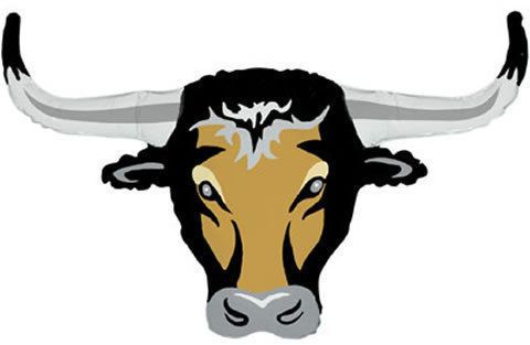 Party Decoration Wild West Cow Bull Long Horn Giant Supershape Foil 