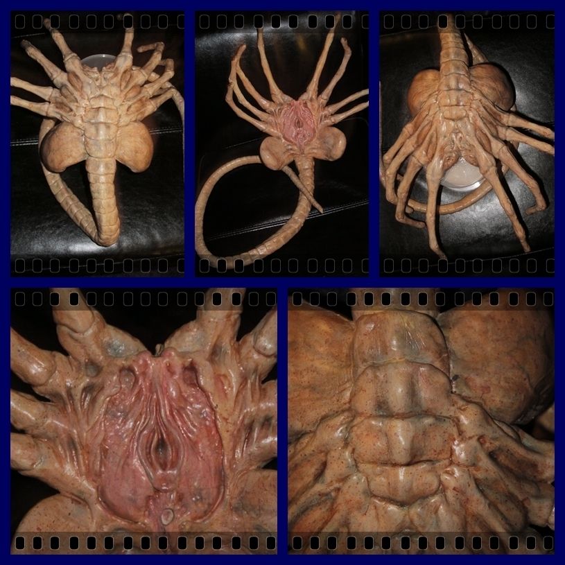 ALIEN FACEHUGGER SCREEN USED MOVIE PROP PUPPET HORROR PUPPET ALIEN VS 