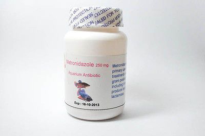 50s Metronidazole 250mg Aquarium Fish Antibiotic Free Ship