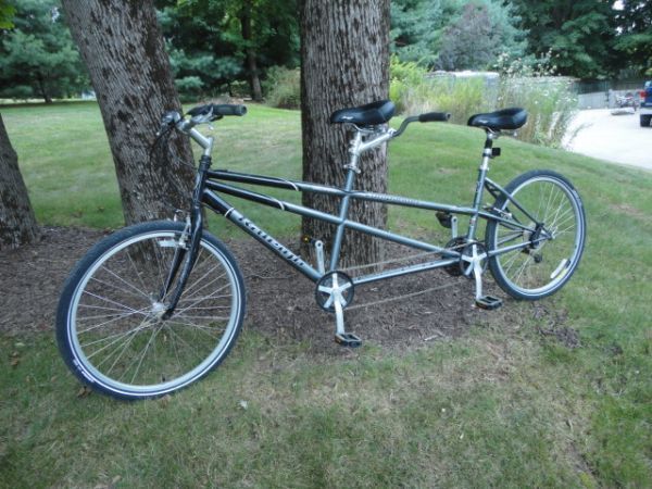 Raleigh companion 2024 tandem bike