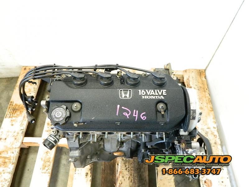 88 95 SOCH ZC 1.6L ENGINE LONG BLOCK EF EG EK CIVIC DX EX LX HX D16A6