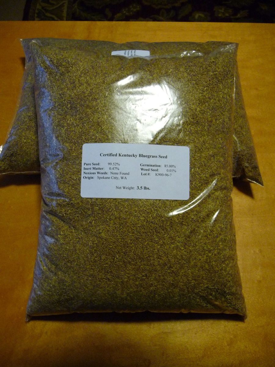  Kentucky Bluegrass Seed Certified Pure