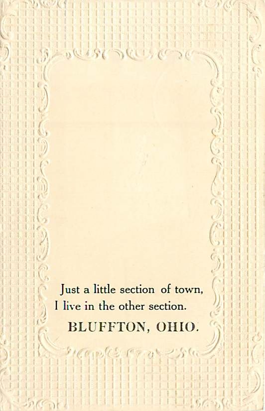 Oh Bluffton Little Section of Town 1911 Early T2508