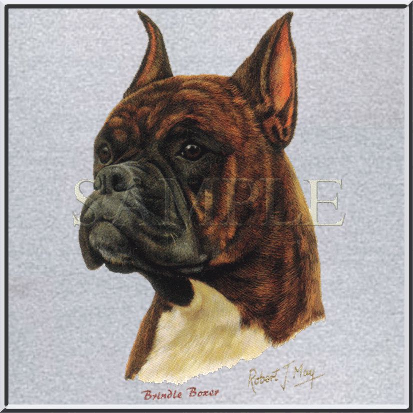 RJM Brindle Boxer Dog Breed Portrait T Shirt s XL 2X 3X