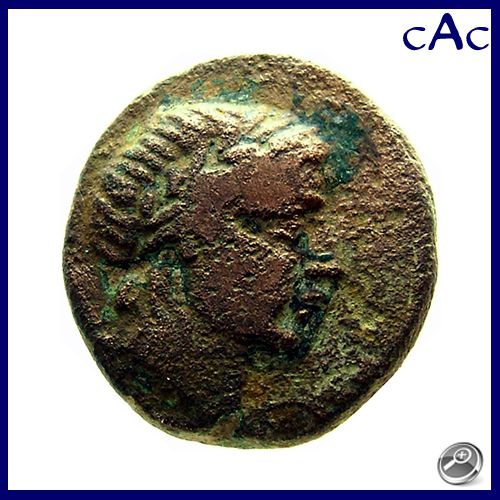   Achaios Sardes Head of Apollo Egale with Branch 220 214 BC RARE