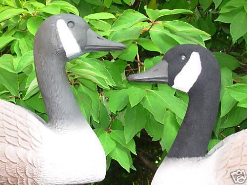 Canada GOOSE Decoy Flocking Kit for 100 Decoys