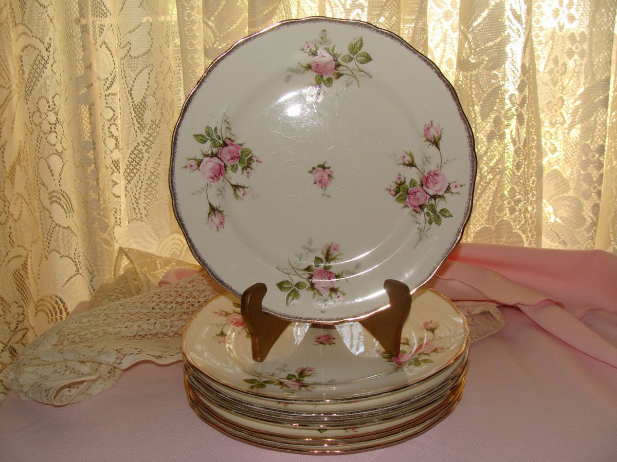 Canonsburg China Dinner Plates 8 Moss Rose