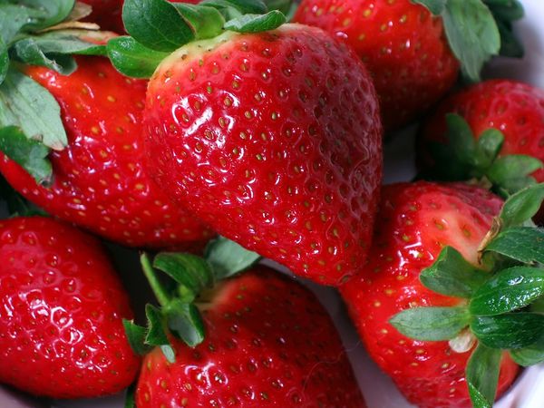 25 300 Fragaria Ananassa Red Strawberry Seeds Fresh Berries