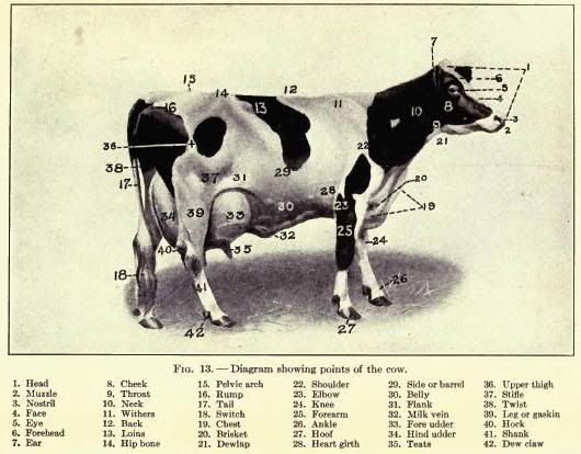  college students and dairy farmers 1911 author eckles clarence henry