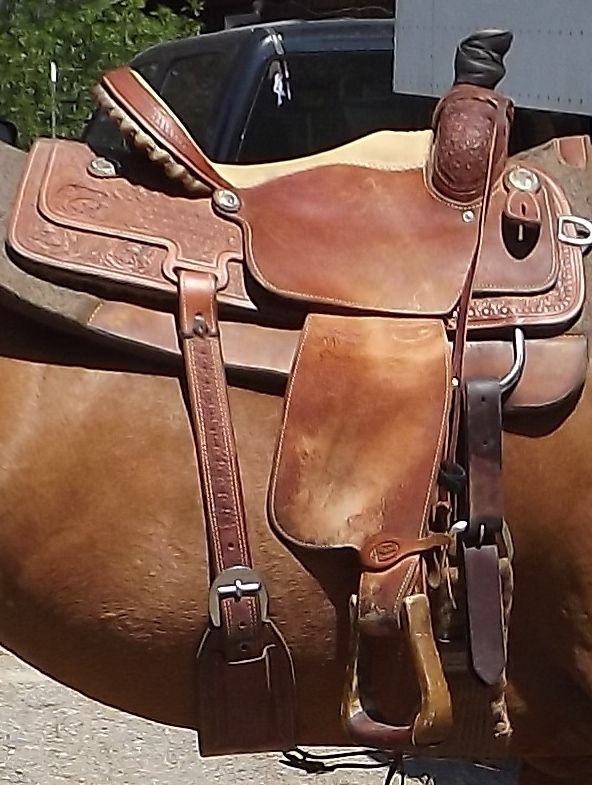 15 Cactus All Around Roping Barrel Saddle Trail Ranch Breakaway Nice