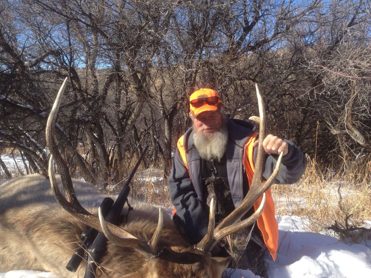 2013 CRAIG COLORADO ELK RUT GUN HUNT WE HAVE SPECIAL TAGS HUNT IN