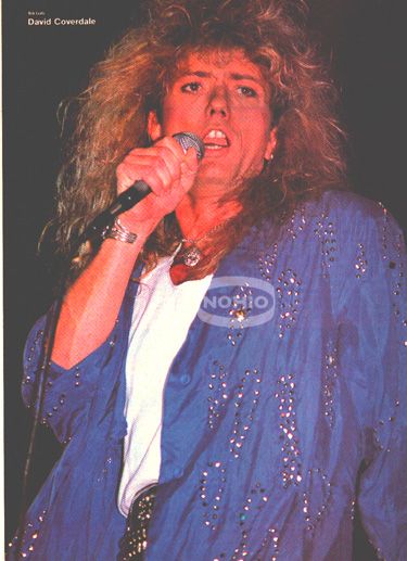 David Coverdale Pinup Whitesnake Live 80s Rock Pic
