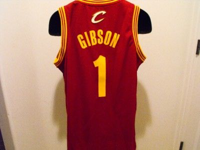 Daniel Gibson Cavs Cavaliers 2XLarge 2XL Adidas Swingman Rev30 Jersey