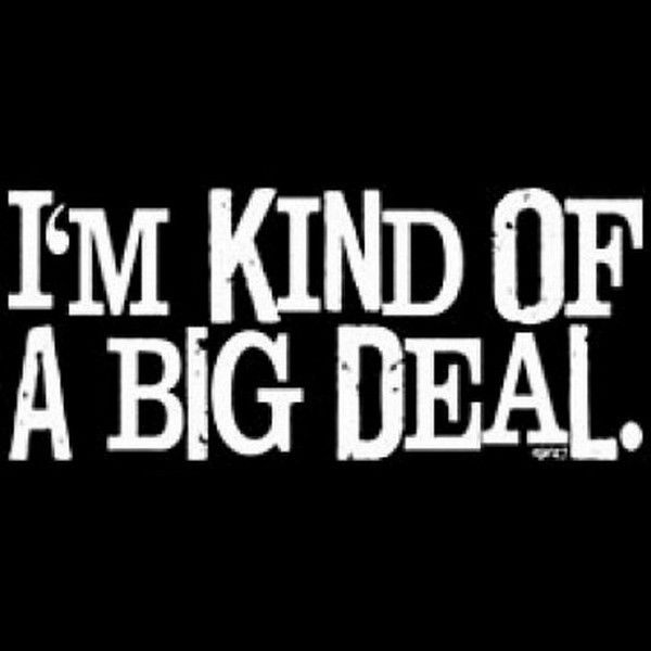 New Funny IM Kind of A Big Deal T Shirt LS SS Many Colors s 3XL