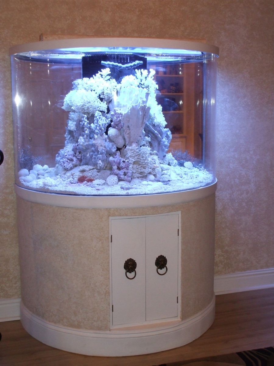  Custom Aquarium Reef Tank