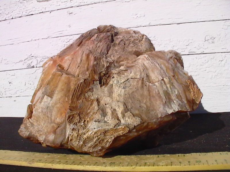 PETRIFIED WOOD LANDSCAPE ROCK DECORATIVE #630   15 LBS