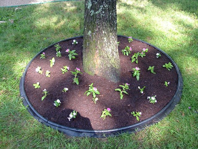 DeWitt Tree Ring 4 Landscape Edging Kit Mulch Barrier with Weed