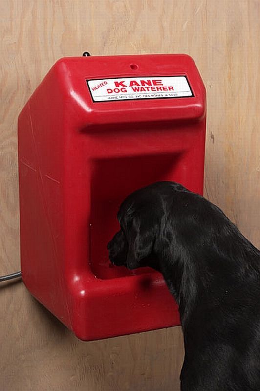 Kane 5 Gallon Capacity Heated Dog Waterer