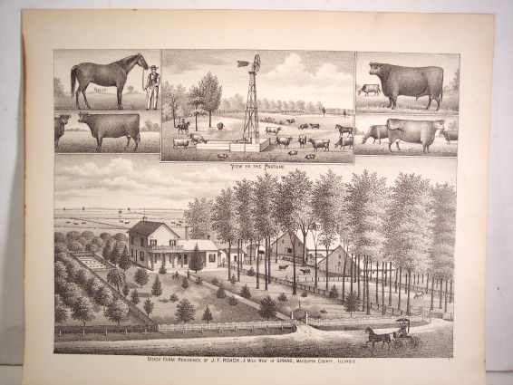 EG26 Girard Illinois IL Roach 1879 Print Macoupin