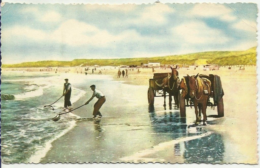 Vintage Postcard Scheveningen Holland Netherlands Schelpenvissers Used