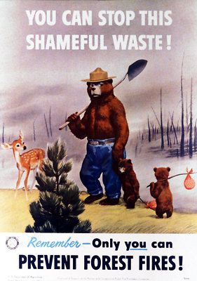 Smokey Bear Shameful Waste Old 34 24 Giclee Art Canvas