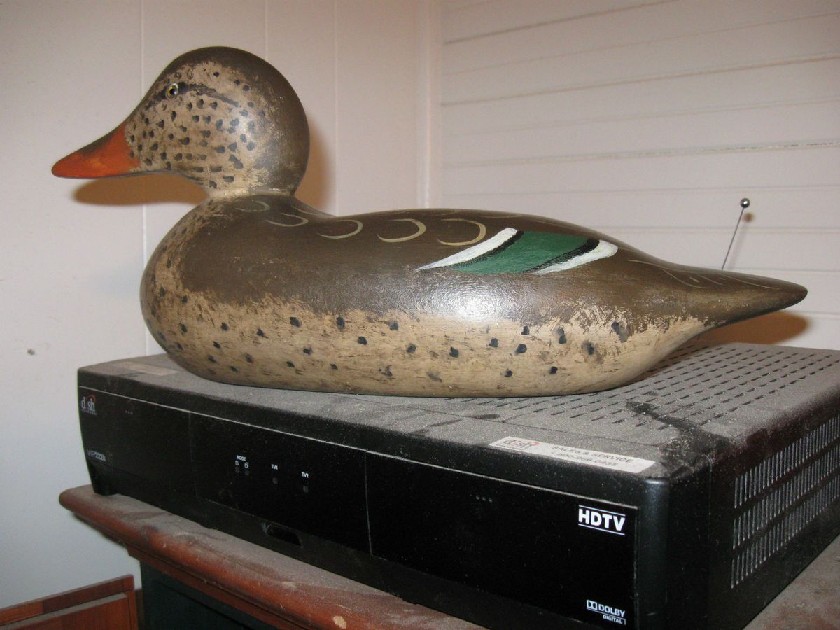  Mallard Hen Wood with Glass Eyes