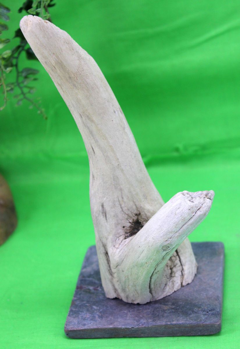 Driftwood Aquarium Fish Reptile Decorations Slate Centerpiece