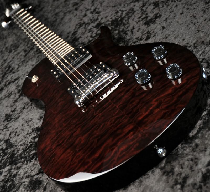 PRS SE Fredrik Akesson Signature Electric Guitar