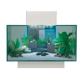 Fluval LED Edge Aquarium 6 Gallon Aquarium Kit 21 LED White