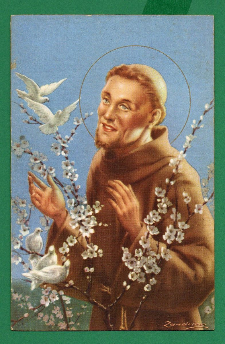 St Francis of Assisi w Birds Flowers Vtge DAT 1955 Holy Card Postcard