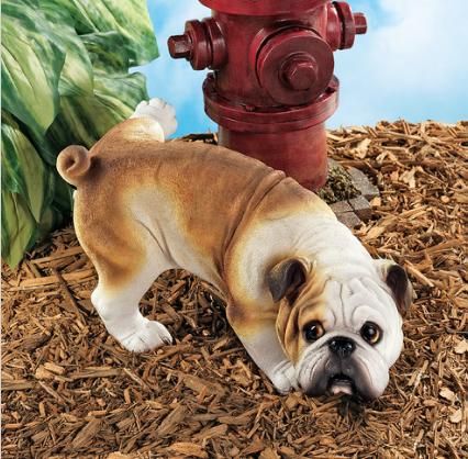 Peeing Bulldog Garden Sculpture Home Dog Statue