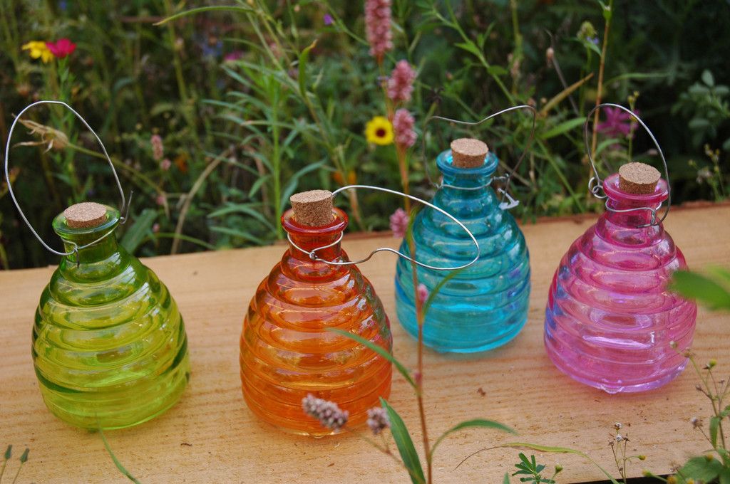 Large Old Fashioned Honey Pot Glass Wasp Trap Catcher