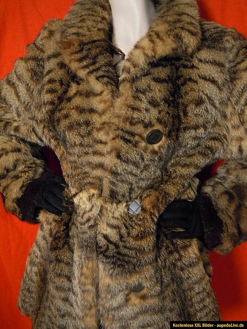 real fur coat spotted african genet for  genetta genetta red list