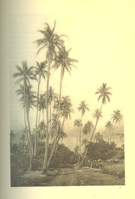 RARE BOOK~HENRY PERRINE BALDWIN~1915 Ltd Edn Book MAUI HAWAII~Private